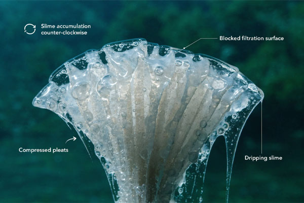 A close-up image showing a pleated filter surface completely covered in a transparent, gelatinous slime, blocking everything