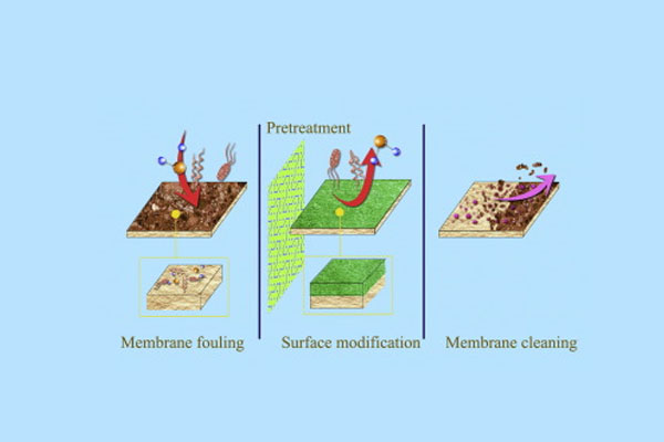 A diagram showing tiny colloid particles accumulating on an RO membrane surface