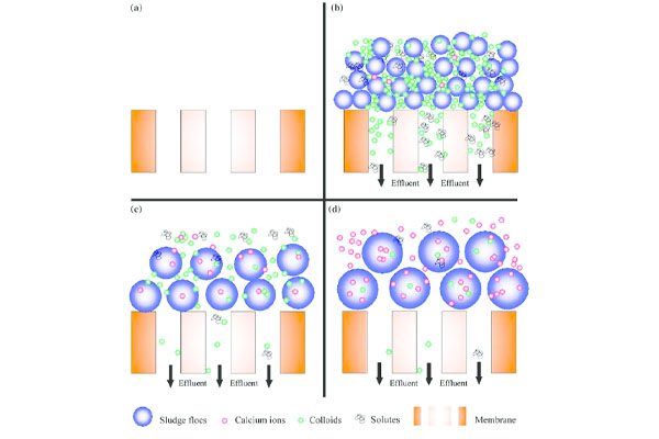 A graph showing a typical particle size distribution curve in industrial water