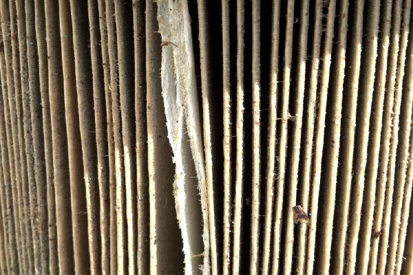 An illustration showing 