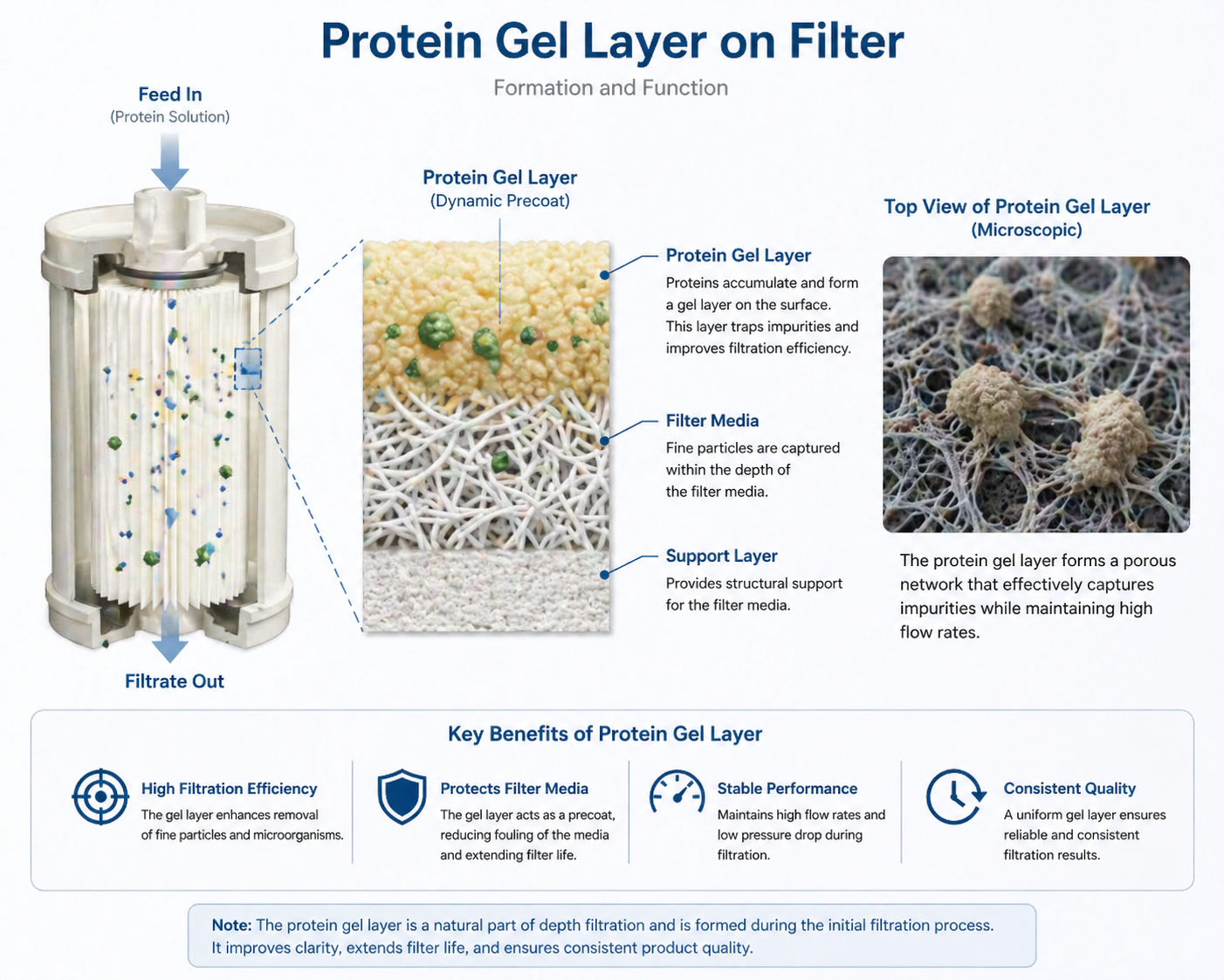 Close-up photo showing a slimy protein gel layer on a filter pleat