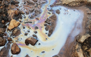 Colloidal Iron