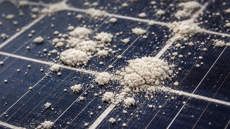 A close-up photograph of white, crusty limescale spots baked onto the surface of a solar panel