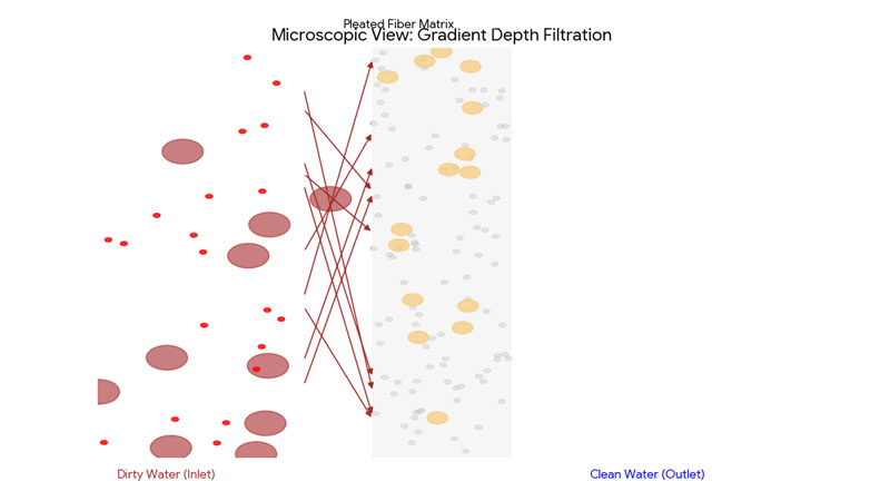 A microscopic view showing particles of various sizes flowing through a filter medium