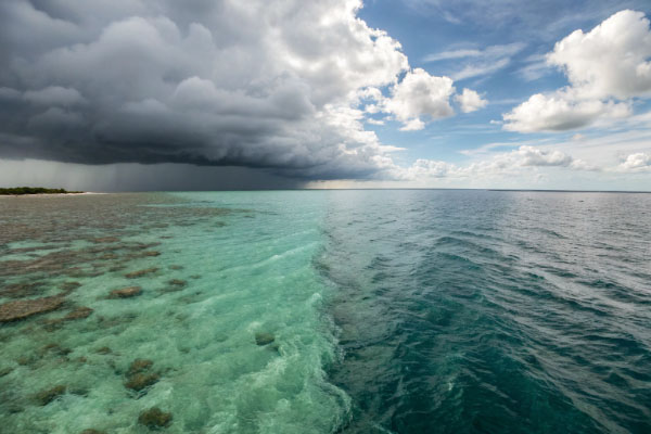 A split image showing cloudy open-intake seawater on one side and clear well water on the other