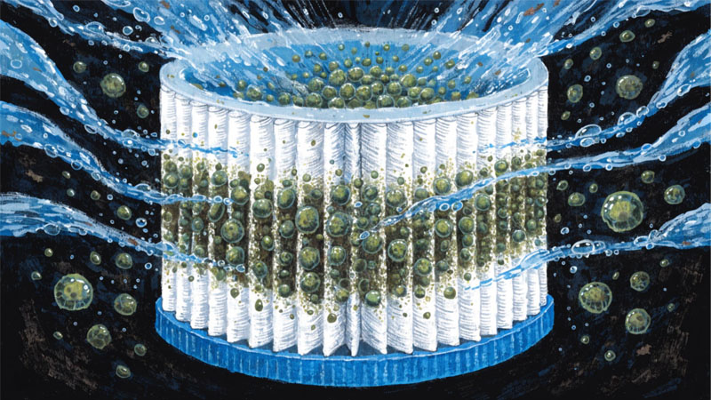 An illustration of a high-flow cartridge capturing a large volume of algae cells in its pleated media