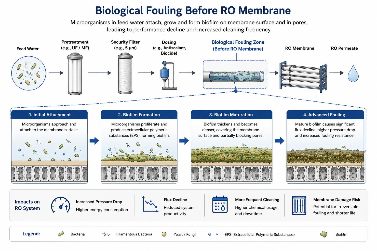 Biological Fouling Before RO Membrane Biological Fouling Before RO Membrane